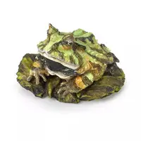 Trading Figure - Ikimono Daizukan