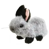 Plush - Riku no Nakamatachi