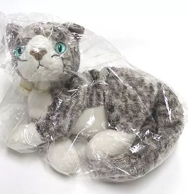 Plush - Beanie Babies