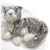 Plush - Beanie Babies