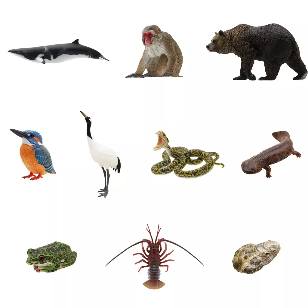 Trading Figure - Japanese giant salamander