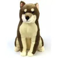 Plush - Hokkori Shibainu Chachanosuke