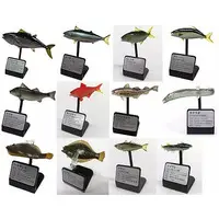 Trading Figure - Primary Color Saltwater Fish Encyclopedia