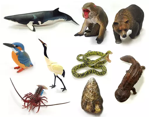 Trading Figure - Nature Technicolor