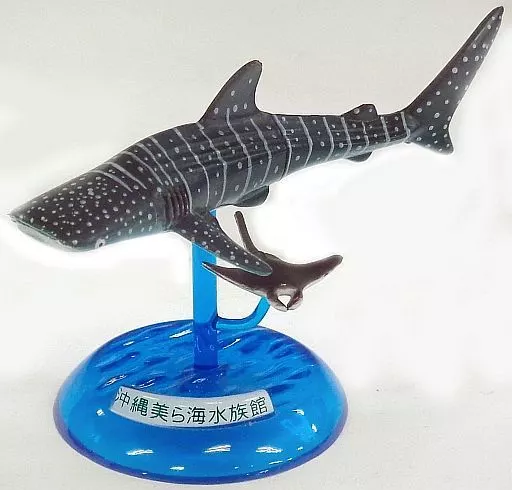 Trading Figure - Okinawa Churaumi Aquarium