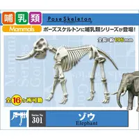 Trading Figure - Pose Skeleton