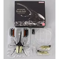 Trading Figure - Ikimono Daizukan