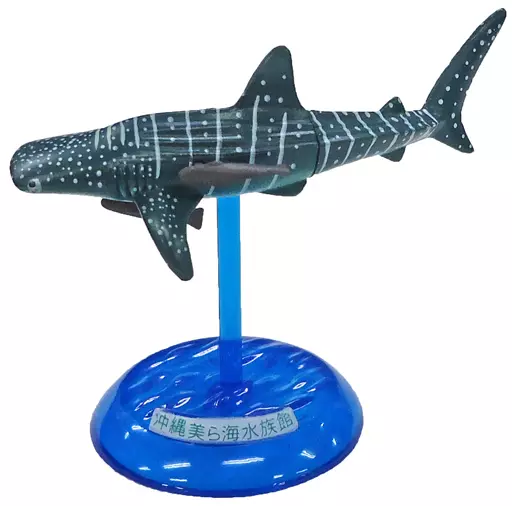 Trading Figure - Okinawa Churaumi Aquarium