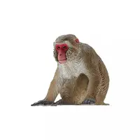 Trading Figure - Nature of Japan