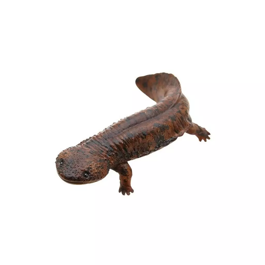 Trading Figure - Japanese giant salamander