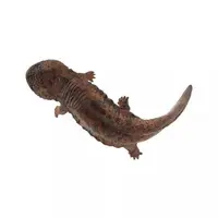 Trading Figure - Japanese giant salamander