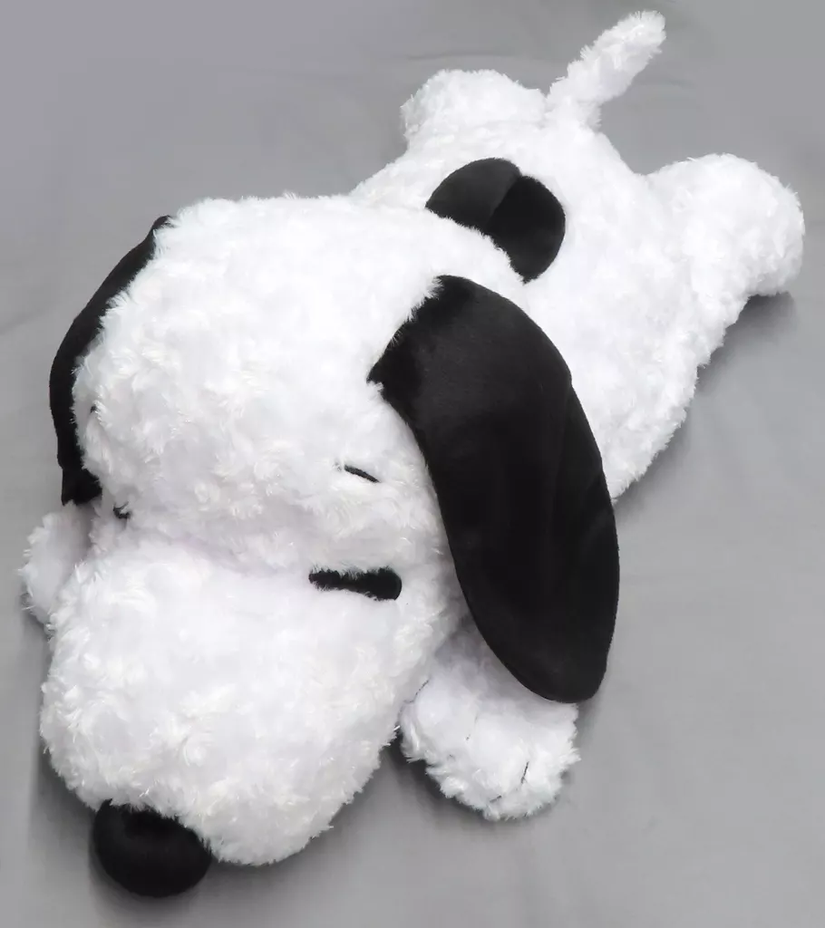 Plush - PEANUTS / Snoopy