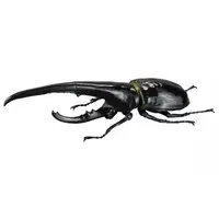 Trading Figure - Hercules Beetle