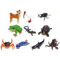 Trading Figure - Nature Technicolor