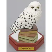 Trading Figure - Harry Potter Series