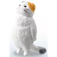 Trading Figure - KYOMU