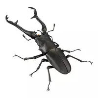 Trading Figure - Ikimono Daizukan