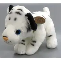 Plush - White tiger