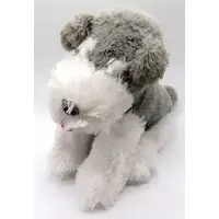 Plush - Dog