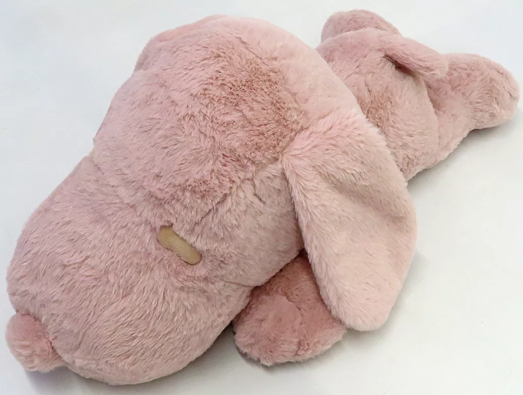 Plush - PEANUTS / Snoopy