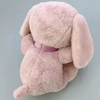 Plush - PEANUTS / Snoopy