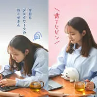 Plush - Chiikawa / Usagi