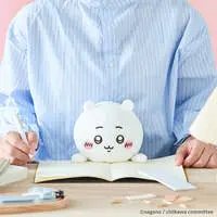 Plush - Chiikawa / Chiikawa