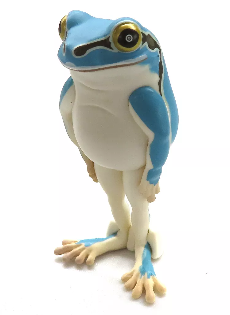 Narabetai - Seiretsu Tree frog