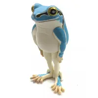 Narabetai - Seiretsu Tree frog