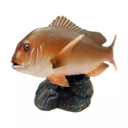 Trading Figure - Primary Color Saltwater Fish Encyclopedia