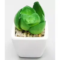 Trading Figure - Desktop Garden