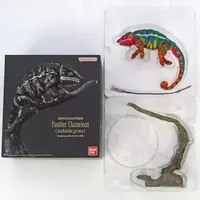 Trading Figure - Ikimono Daizukan