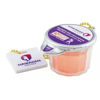 Trading Figure - Hawaiian Airlines Miniature Collection