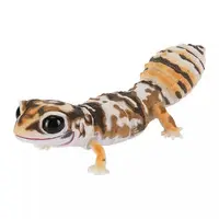 Trading Figure - Illustrated encyclopedia of creatures Repti