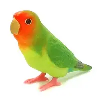 Trading Figure - Parakeet