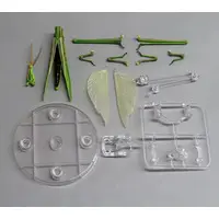 Trading Figure - Ikimono Daizukan