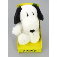 Plush - PEANUTS / Snoopy