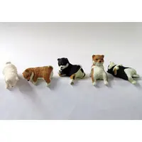 Trading Figure - Fuchi Yasumi