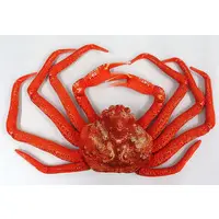 Taste of Winter! Stuffed Crab