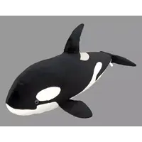 Plush - Orca