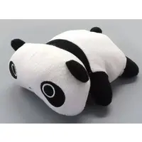 Plush - Tarepanda