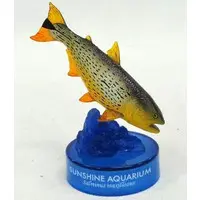 Trading Figure - Sunshine Aquarium