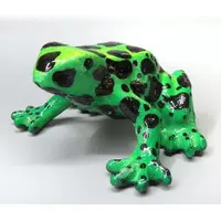 Trading Figure - The World of Poison Dart Frogs
