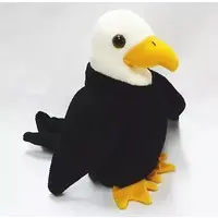 Plush - THE BEANIE BUDDIES