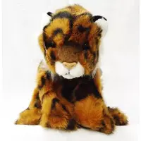 Plush - Tiger