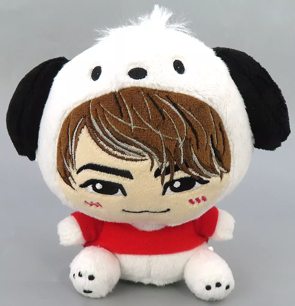Plush - Sanrio / Pochacco
