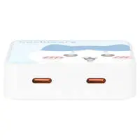 USB AC Adapter - Chiikawa / Hachiware