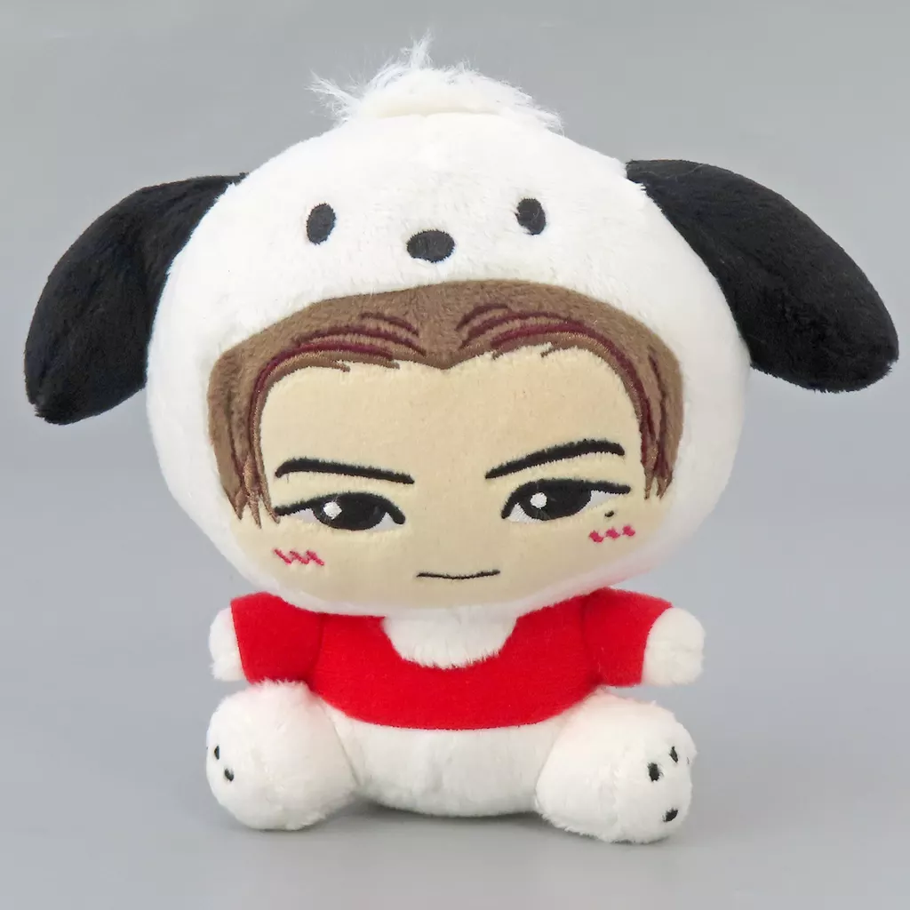 Plush - Sanrio / Pochacco