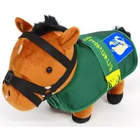 Plush - Thoroughbred collection