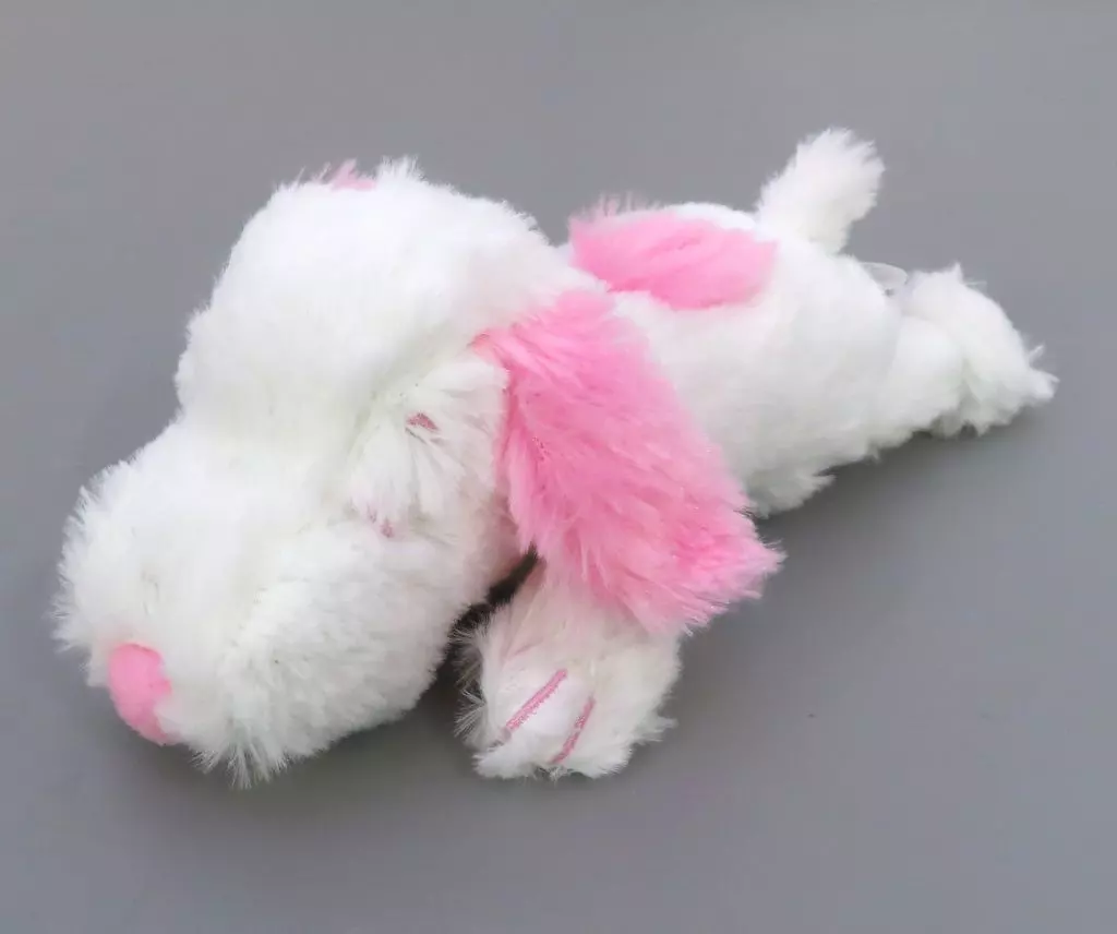 Plush - PEANUTS / Snoopy